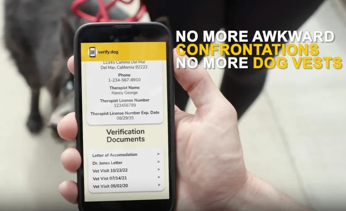 Scan & Go registration benefits video